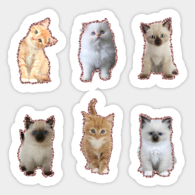 Cute Cat Stickers Sticker by anacarminda